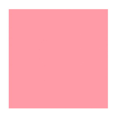 Фон пластиковый FST 100*200 розовый матовый