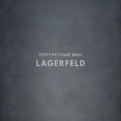 Фон на холсте, ручной работы SM.TEXTURE 2*2,2м. Lagerfeld