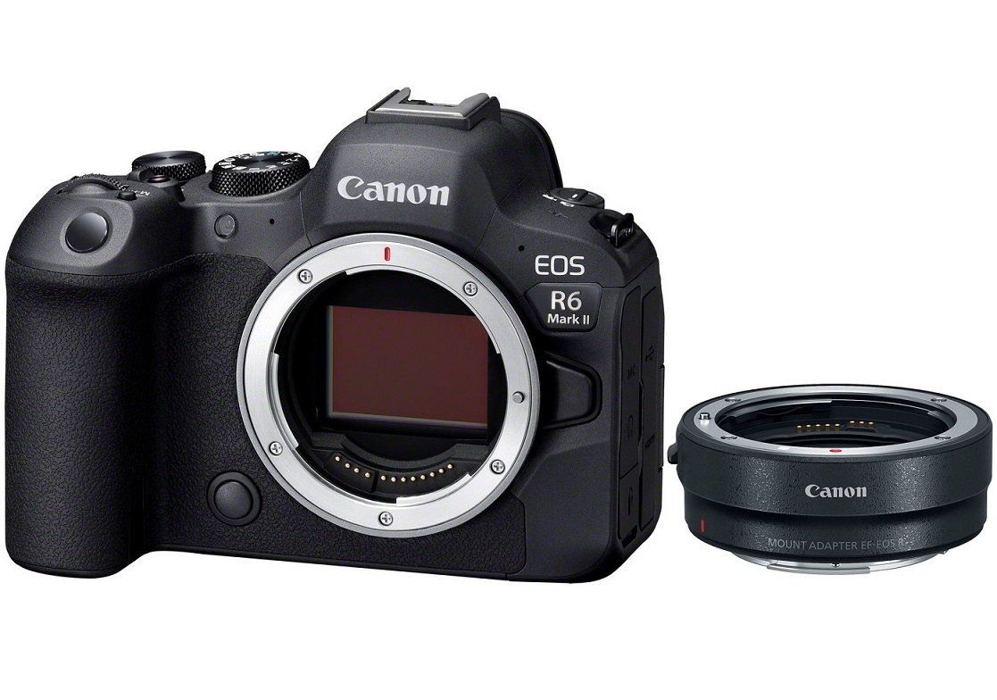 Цифровая камера Canon EOS R6 Mark II body + адаптер RF-EF