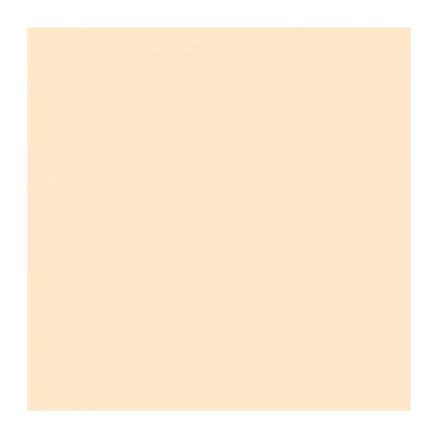 Фон бумажный FST 2,72*11 м.1028 IVORY (бежевый)