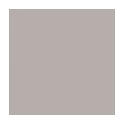 Фон пластиковый FST 100*200 серый матовый