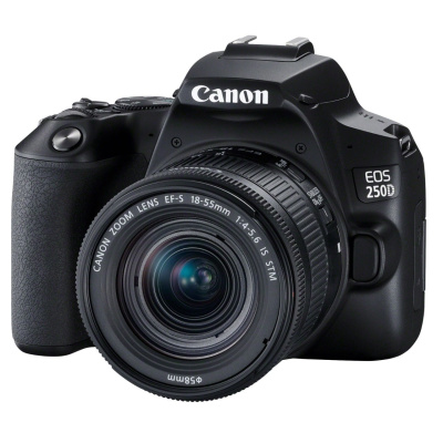 Цифровая камера Canon EOS 250D Kit 18-55mm IS STM