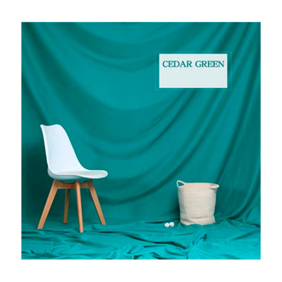 Фон тканевый Ins Style 3х5м Sedar Green (зелёный)