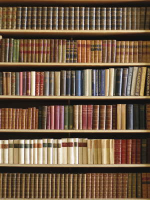 Фон на неопрене SM.TEXTURE 1,5*2м. Библиотека(классика)