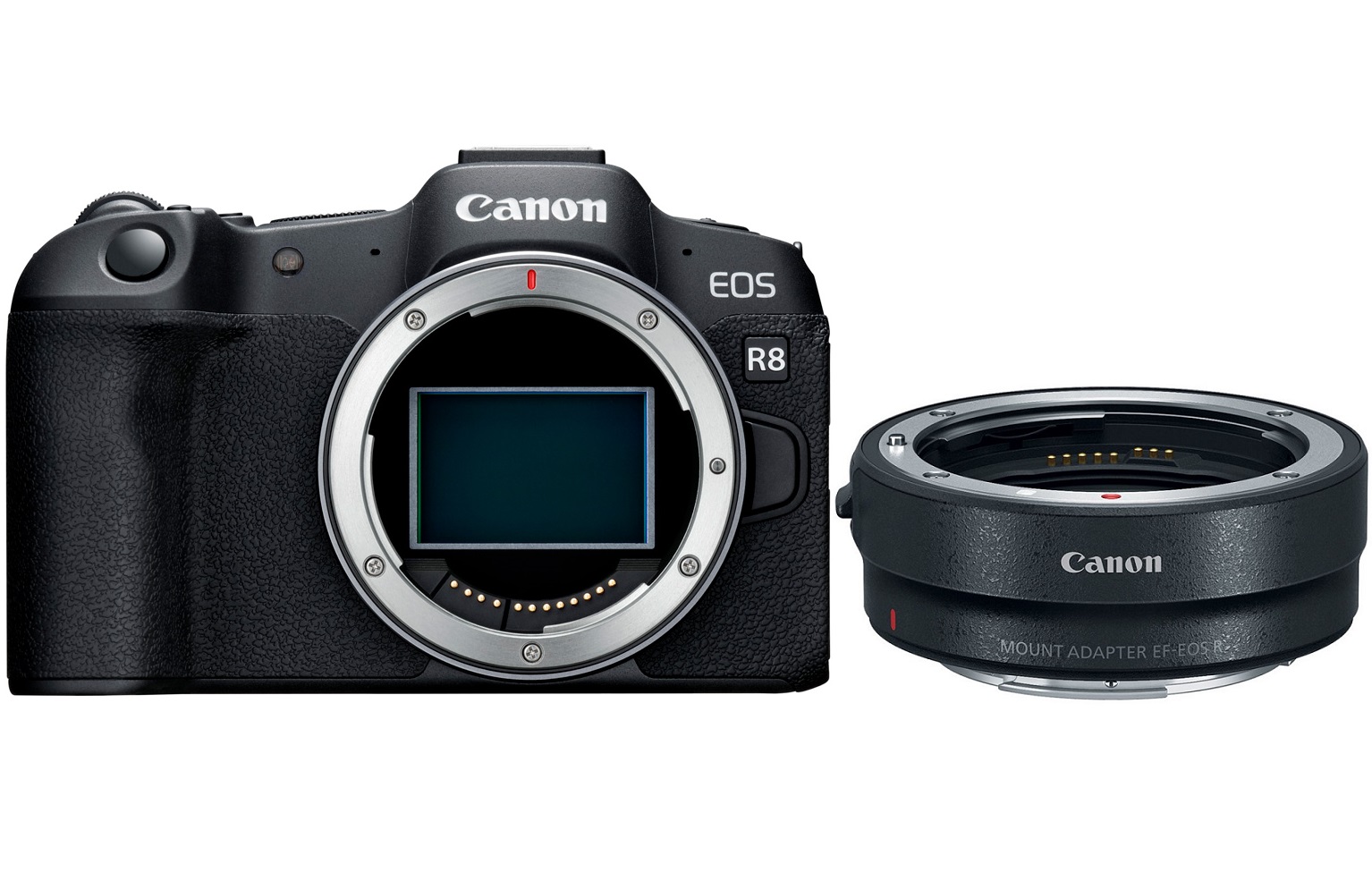 Цифровая камера Canon EOS R8 body + адаптер RF-EF