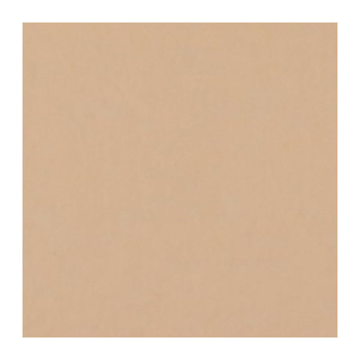 Фон бумажный FST 2,72*11 м.1038 PONGEE (бежевый)