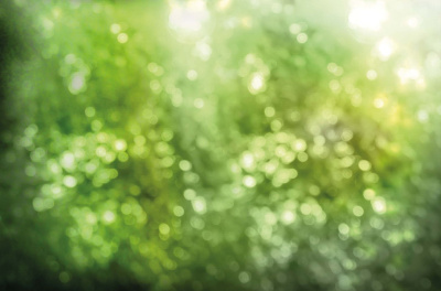 Фон на неопрене SM.TEXTURE 1,5*2м. Зелень расфокус