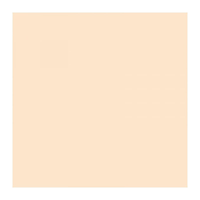 Фон бумажный FST 2,72*11 м.1015 NEW WHEAT (бежевый)