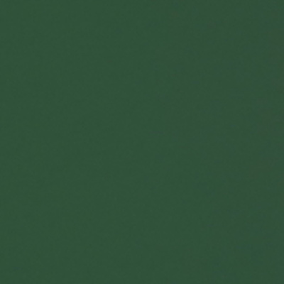 Фон бумажный FST 2,72*11 м.1006 DARK GREEN (зелёный)