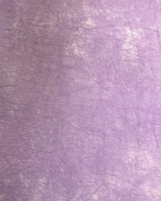 Фон тканевый Ins Style 2.8*4.8м абстракция 3540 Крокус (лиловый)
