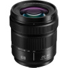 Объектив Panasonic Lumix S 20-60mm f/3.5-5.6 (L-Mount)