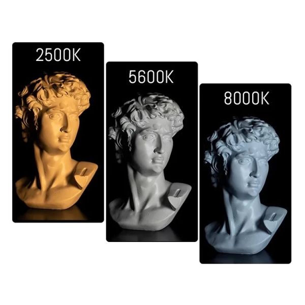 Осветитель светодиодный Yongnuo YN540 RGB (2500-8000K)