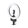 Осветитель светодиодный Falcon Eyes BeautyLight 240 LED кольцевой