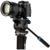 Монопод Benro A38FDS2PRO Classic с видеоголовой/алюминиевый с клипсами