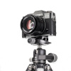 Голова шаровая Benro GX25 Dual Panoramic до 25 кг