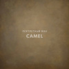 Фон на холсте, ручной работы SM.TEXTURE 2*2,2м. Camel