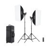 Комплект студийного оборудования Godox SL-100BI K2