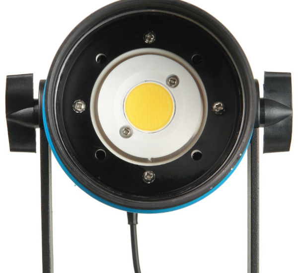 Осветитель светодиодный Falcon Eyes SpotLight 70LED BW