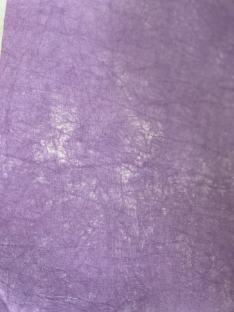 Фон тканевый Ins Style 2.8*4.8м абстракция 3540 Крокус (лиловый)